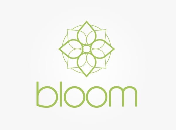 Branding Guide — Bloom Foundation — A Nonprofit Dedicated To Girls  Experiencing Bullying