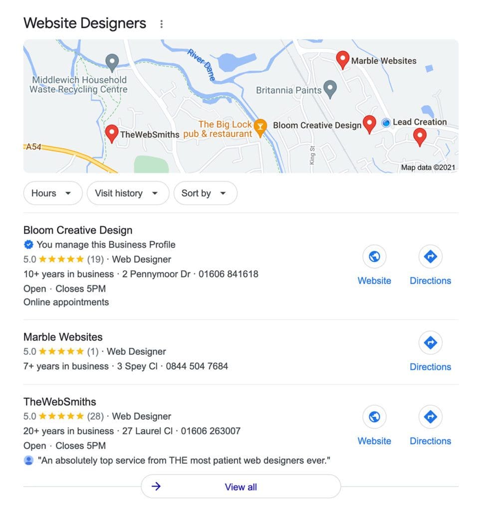a screenshot of google business profile showing Bloom Digital Marketing ranks 1