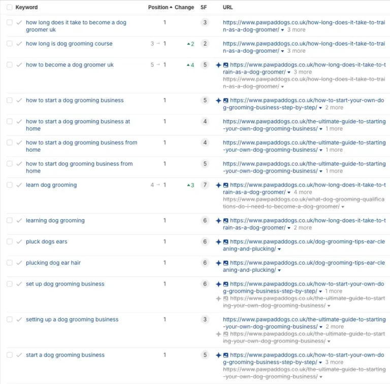A screenshot of a keyword ranking table displays search queries, positions, ranking changes, search features, and URLs related to dog grooming and business, including terms like Paw Pad and dog grooming academy.